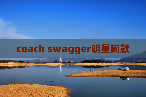 coach swagger明星同款